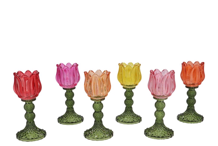 <h4>Bicolore Multicolor Bloom T-light Ass 8x18cm</h4>