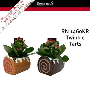 Arrangementen Kalanchoe 6%