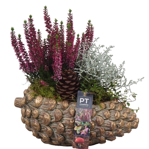 Arr.   Tuinplanten L%