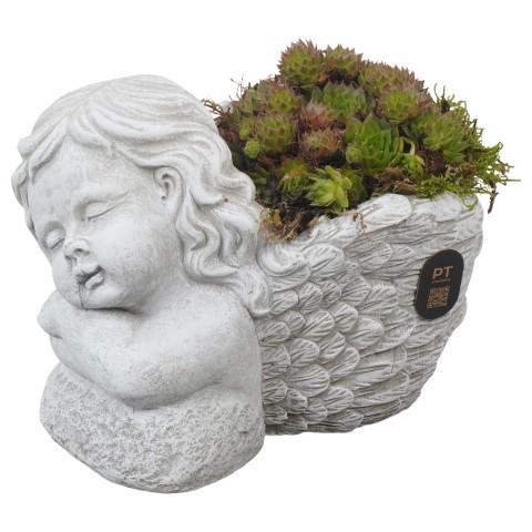 <h4>PTAH3006 Arrangement allerheiligen in beton pot</h4>