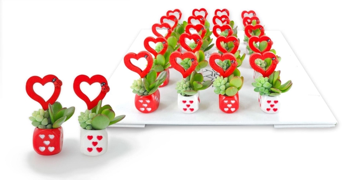 <h4>Arr.  Succulents L%</h4>