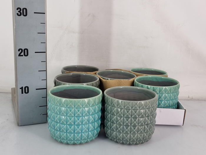 <h4>HUIS EN TUINDECO H%</h4>