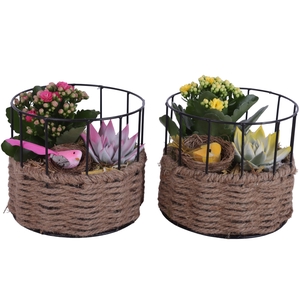 Easter Arr. Indoor Metal Frame Rope pot Round Ø17cm 2PP