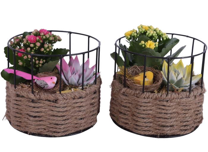 <h4>Easter Arr. Indoor Metal Frame Rope pot Round Ø17cm 2PP</h4>