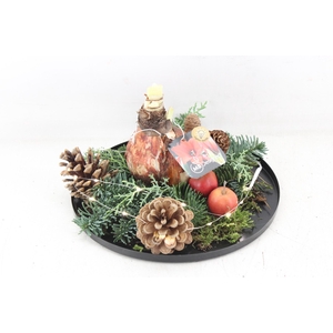 arr4 Amaryllis MB - Zink rand black LED