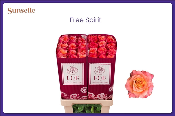 <h4>R GR FREE SPIRIT</h4>