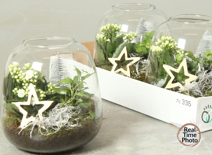 <h4>ARR KAMERPL</h4>