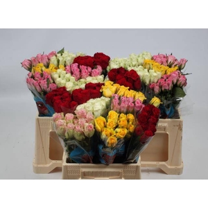 R KL GEM IN FUST chambre