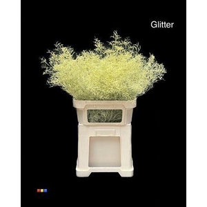 Limonium Creme + Glitter Bio