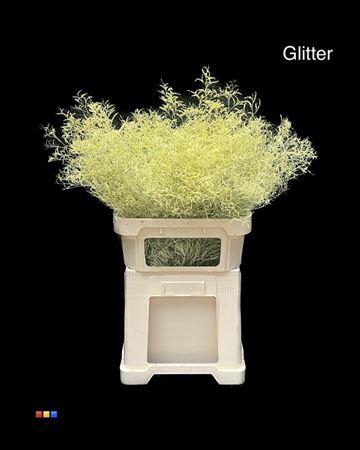 <h4>Limonium Creme + Glitter Bio</h4>