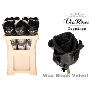 R Gr Vip Wax Velvet Black