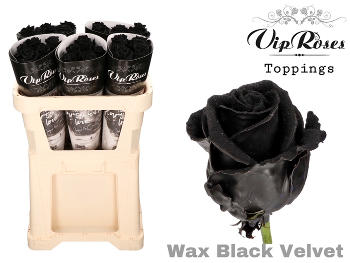 <h4>R GR WAX VELVET BLACK 998</h4>