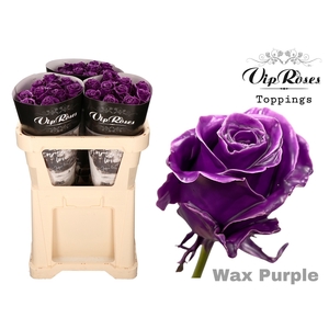 R Gr Wax Purple X30 998
