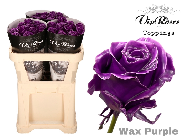 <h4>R Gr Vip Wax Purple X30</h4>