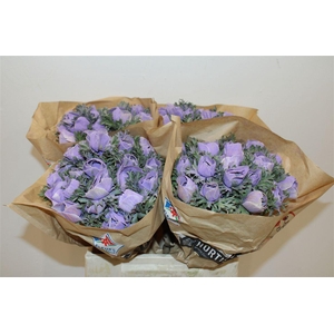 Anem Marianne Powder Lavender