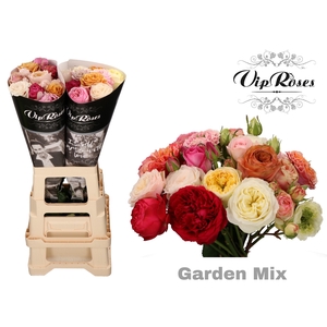 R GR GARDEN MIX