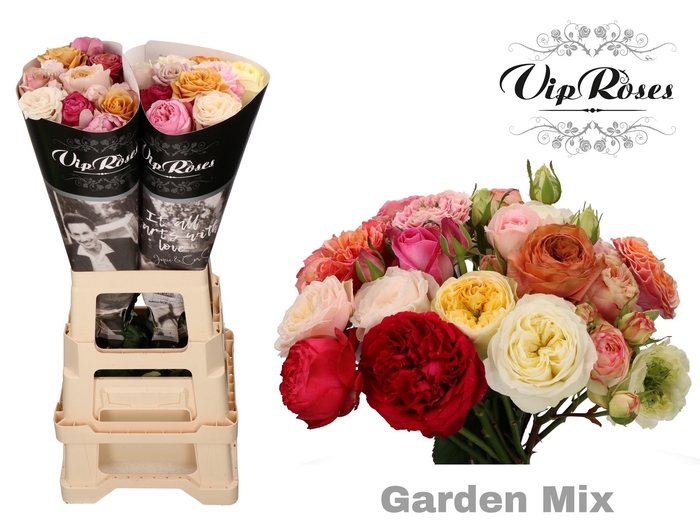 R GR GARDEN MIX