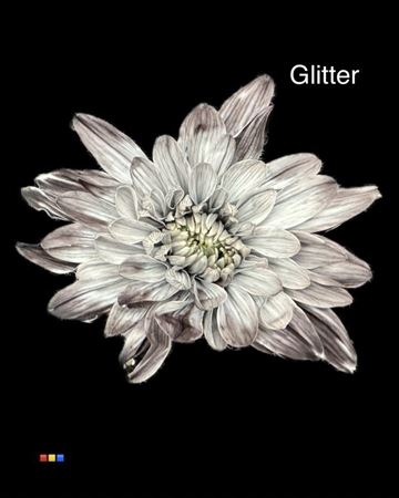 Chr T 2 Kl Baltica Grey + Glit Bio