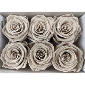 Ro Pres Classic Sand