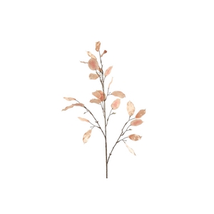 Lunaria L old pink