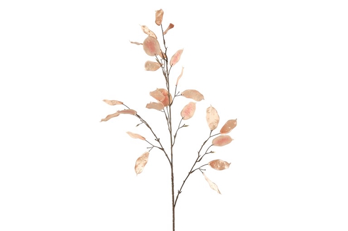 <h4>Lunaria L old pink</h4>