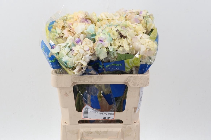 <h4>Hydr Acuarela Select</h4>