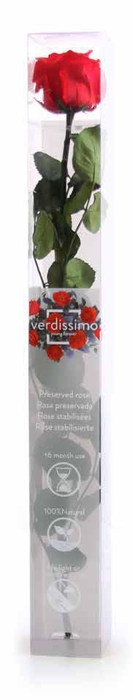 Roos op steel xl Plexi 55cm Red