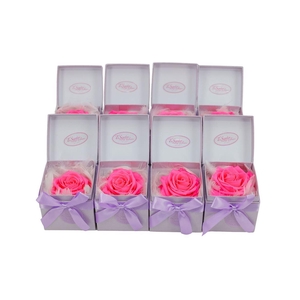 Arrangementen Potroos H%