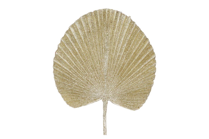 Pick Shine Fan Cozy Gold 66cm Nm
