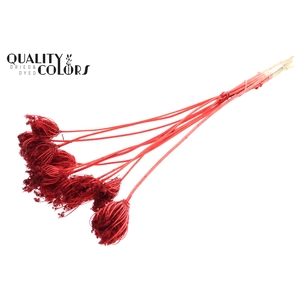 Ammi Majus 2-4cm 10pc/bunch Bleached Red