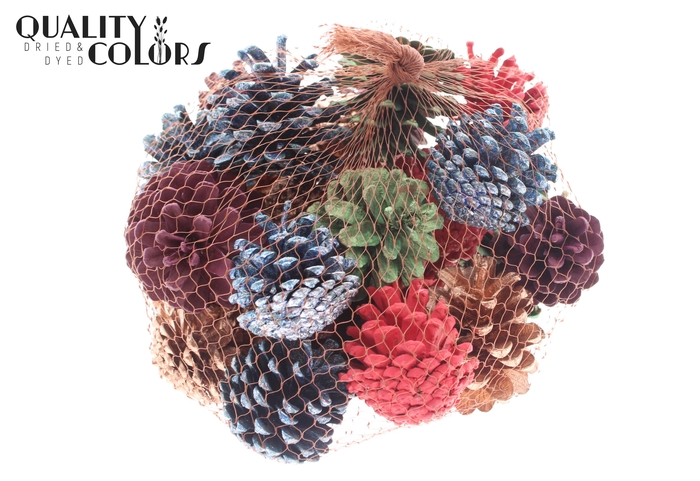 Pine cone 500gr in net Assorted