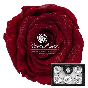 Xl Diamond Dust Red01