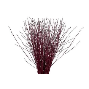 BETULA OV KLB H%