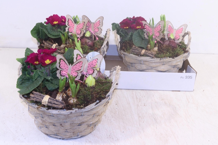 <h4>ARR TUINPLANTEN</h4>