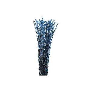 Salix Snowflake Klb Blue