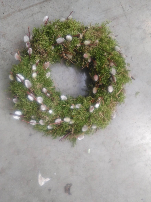 <h4>KRANZ 08 MOOS-KÄTZCHEN 25CM</h4>