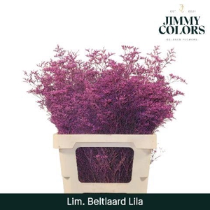 Lim Bel L70 Lila