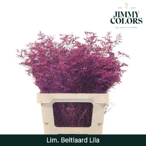<h4>Lim Bel L70 Lila</h4>