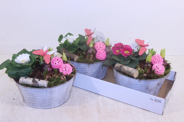 <h4>ARR TUINPLANTEN</h4>