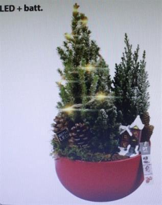 7242 ROOD KER BOOM+LED