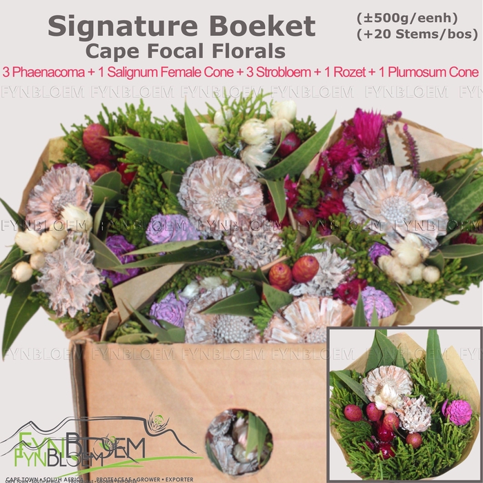 <h4>KAAPS GROE GEM IN BS</h4>