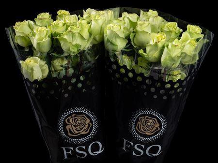 <h4>R Gr Green Romance</h4>