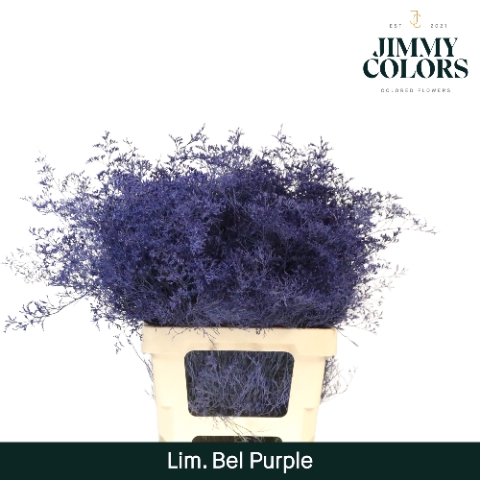 <h4>Lim Bel L70 Purple</h4>