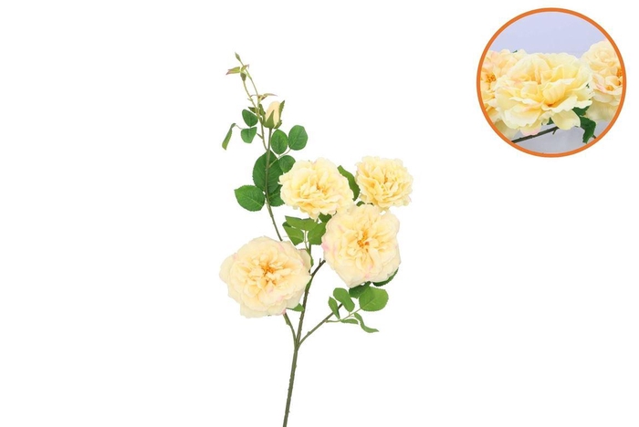 <h4>Silk Wild Rose Yellow Single Stem 116cm</h4>