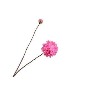 Dahlia 86cm donker roze 24/ds