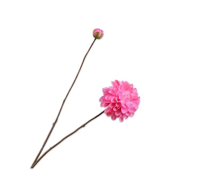 <h4>Dahlia 86cm donker roze 24/ds</h4>