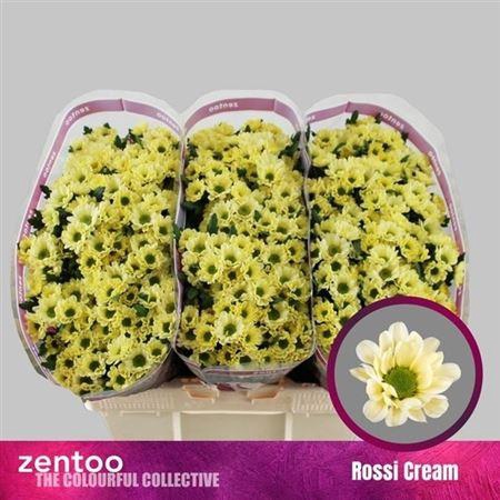 <h4>Chr San Rossi Cream</h4>