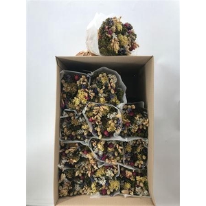 Dr Bq Dried Fantasy Naturale