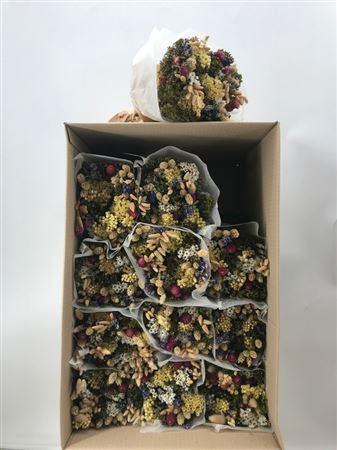 <h4>Dr Bq Dried Fantasy Naturale</h4>