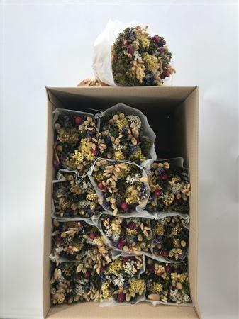 <h4>Dr Bq Dried Fantasy Naturale</h4>